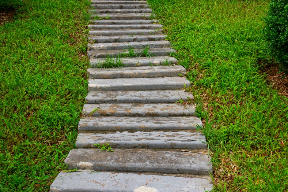 Stone walkway in garden